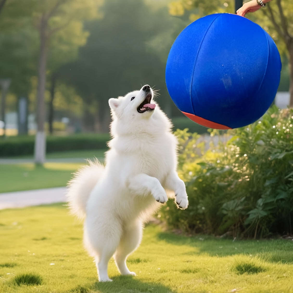 Large Inflatable Dog Ball Toy – Interactive Herding Training Ball for Dogs, Anti-Boredom Exercise Toy for Bulldogs, Golden Retrievers & Australian Shepherds, No Battery Required
