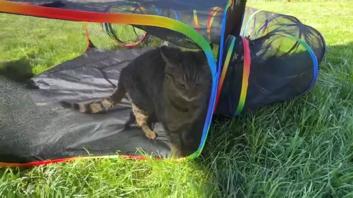 Rainbow Cat Playpen Outdoor Cat Enclosure with Circle Tunnel and Portable Pop-Up Tent, Foldable Cat Playground for Cats Kittens and Small Animals Indoor Outdoor Use