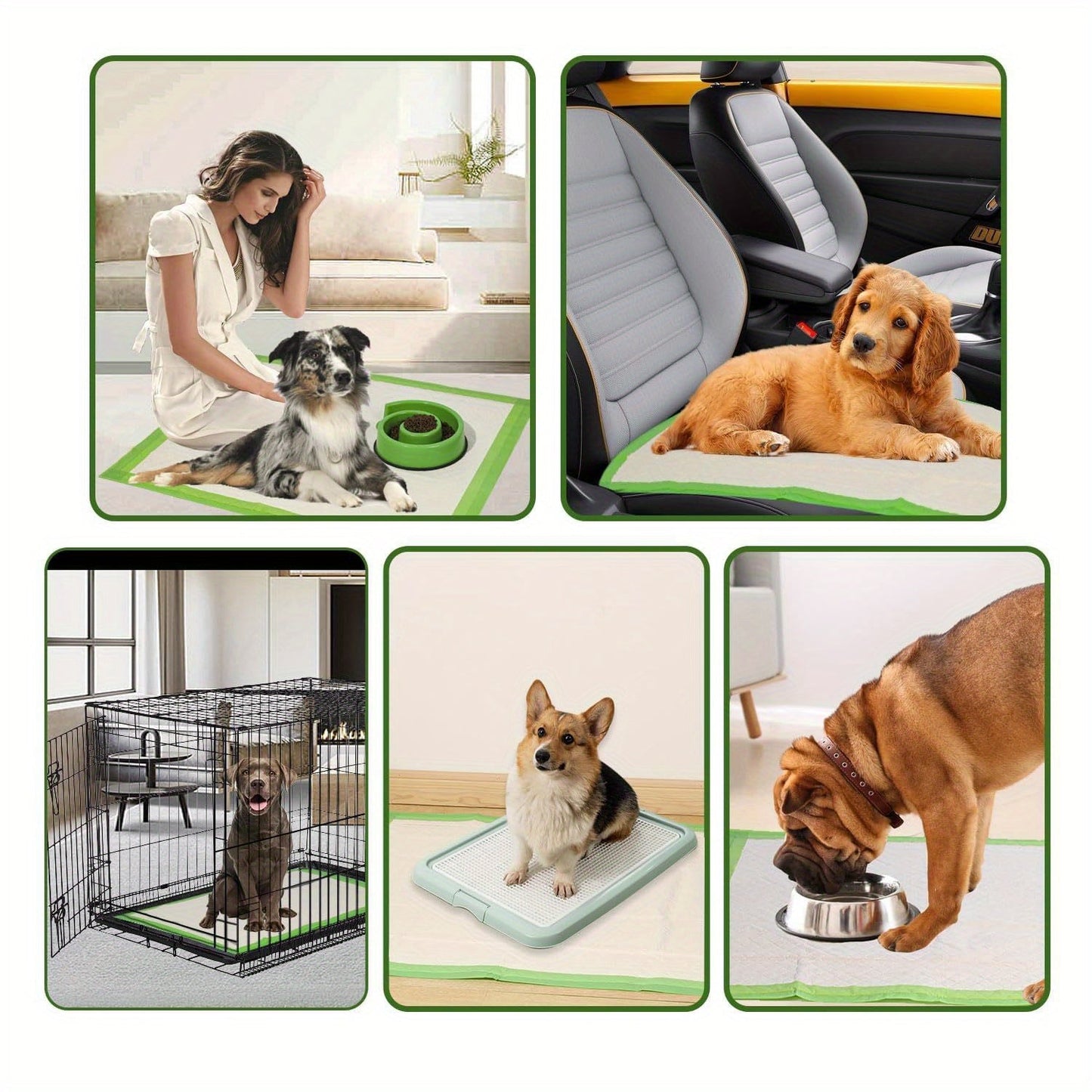 Jumbo Dog Pee Pads for Large Breeds 50 or 100 Pack – 6-Layer Super Absorbent Heavy-Duty Leakproof Puppy Training Pads, Quick-Dry Odor Control, Housebreaking Pads for Senior Dogs & Potty Training
