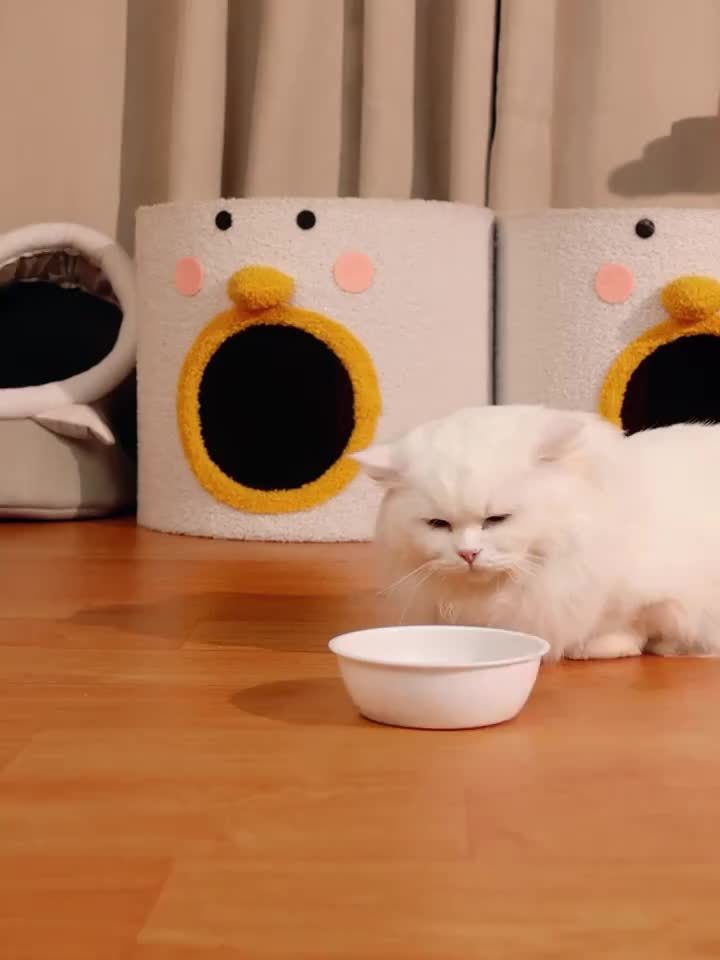 Automatic Cat Feeder Dual-Function Food & Water Dispenser Portion Control Healthy Diet Cute Design Pet Feeding Station Christmas Gift for Cat Lovers