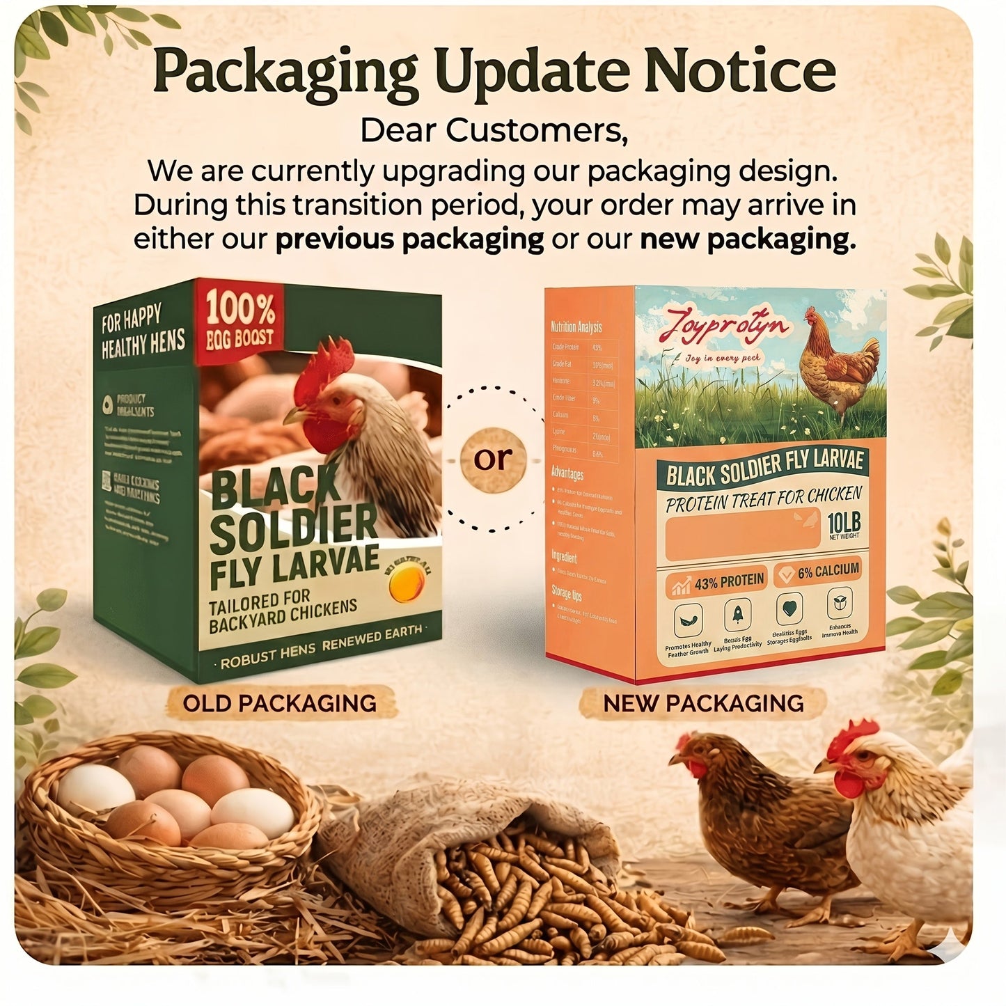 Dried Black Soldier Fly Larvae for Chickens – High Protein 43% & 85x More Calcium Than Mealworms, Non-GMO Natural BSFL Treats for Laying Hens, Ducks, Quail, Birds & Reptiles, 2LB / 5LB / 10LB