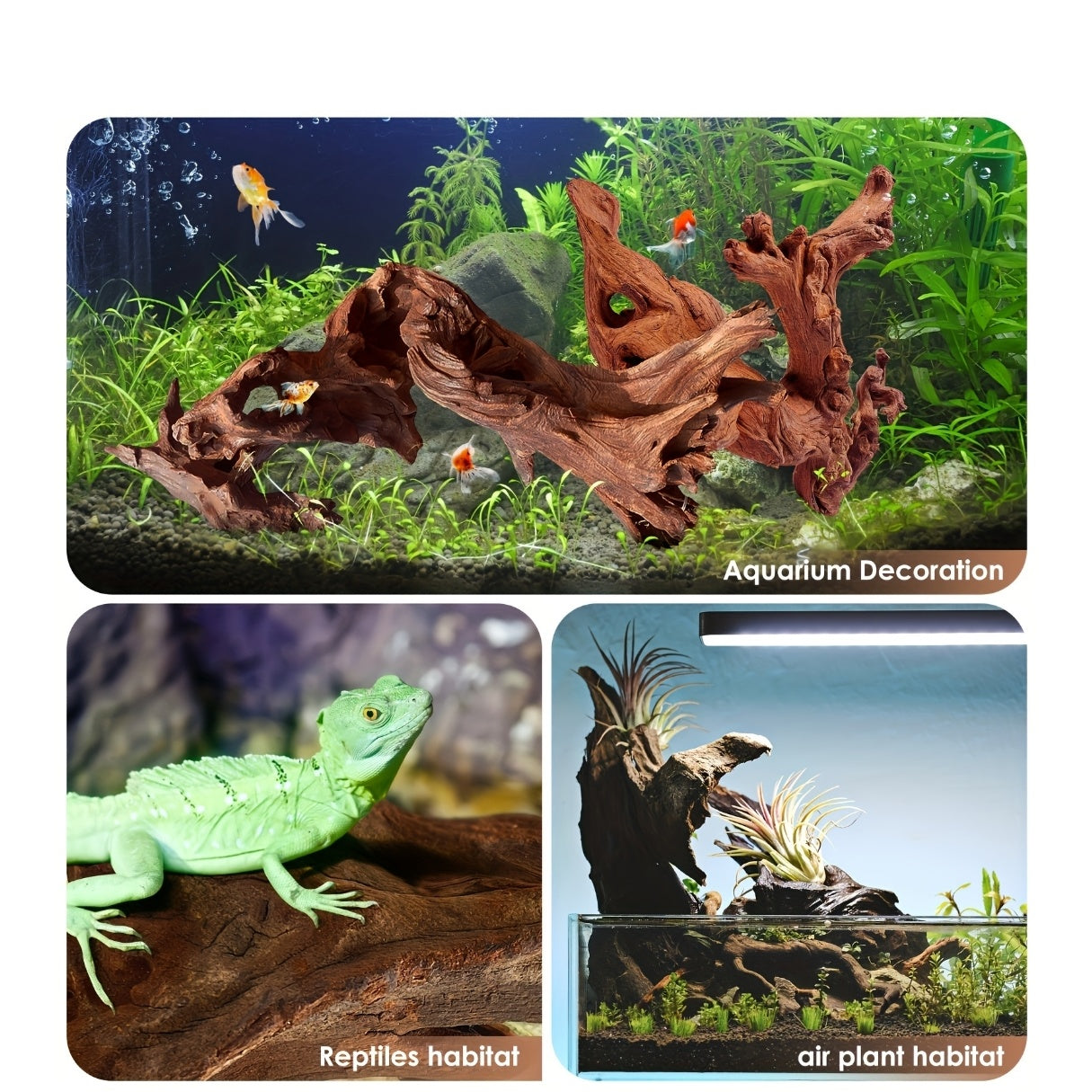 Natural Driftwood for Aquarium Decor & Reptile Terrarium – 2 Pieces 9 to 14 Inches Real Wood Branches for Fish Tank, Bearded Dragon, Lizard, Snake, Tree Frog, Turtle & Shrimp Habitat
