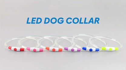 USB Rechargeable LED Dog Collar – Light Up 360° Glow Safety Collar with 3 Modes, Adjustable TPU Cuttable Collar for Small Medium Large Dogs, Night Walking Running & Hunting