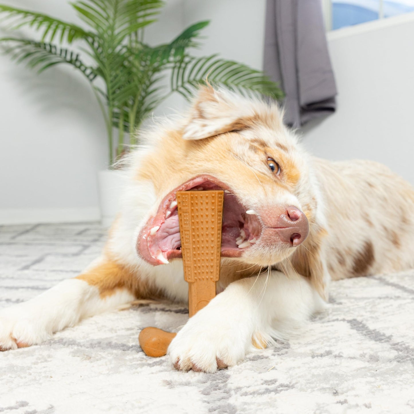 T-Shaped Dog Dental Chew Toy – Durable Non-Splintering Plastic Chew Toy with Textured Ridges & Ergonomic Grip for Aggressive Chewers, Teething Puppies & Adult Dogs, Teeth Cleaning Dog Toy