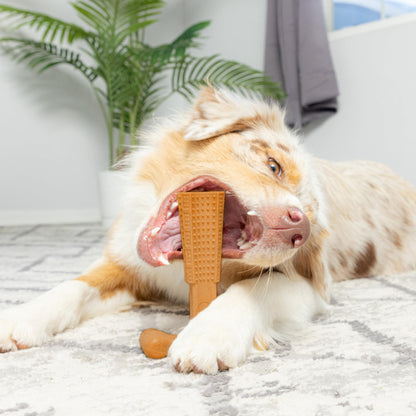 T-Shaped Dog Dental Chew Toy – Durable Non-Splintering Plastic Chew Toy with Textured Ridges & Ergonomic Grip for Aggressive Chewers, Teething Puppies & Adult Dogs, Teeth Cleaning Dog Toy
