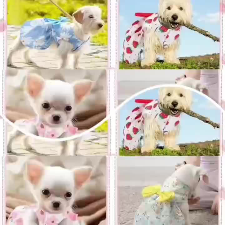 5pcs Dog Dress Set for Small Dogs Floral Princess Bow Puppy Dresses Soft Polyester Pet Costume for Yorkies Chihuahuas Cats Small Pets All Seasons 5 Cute Styles