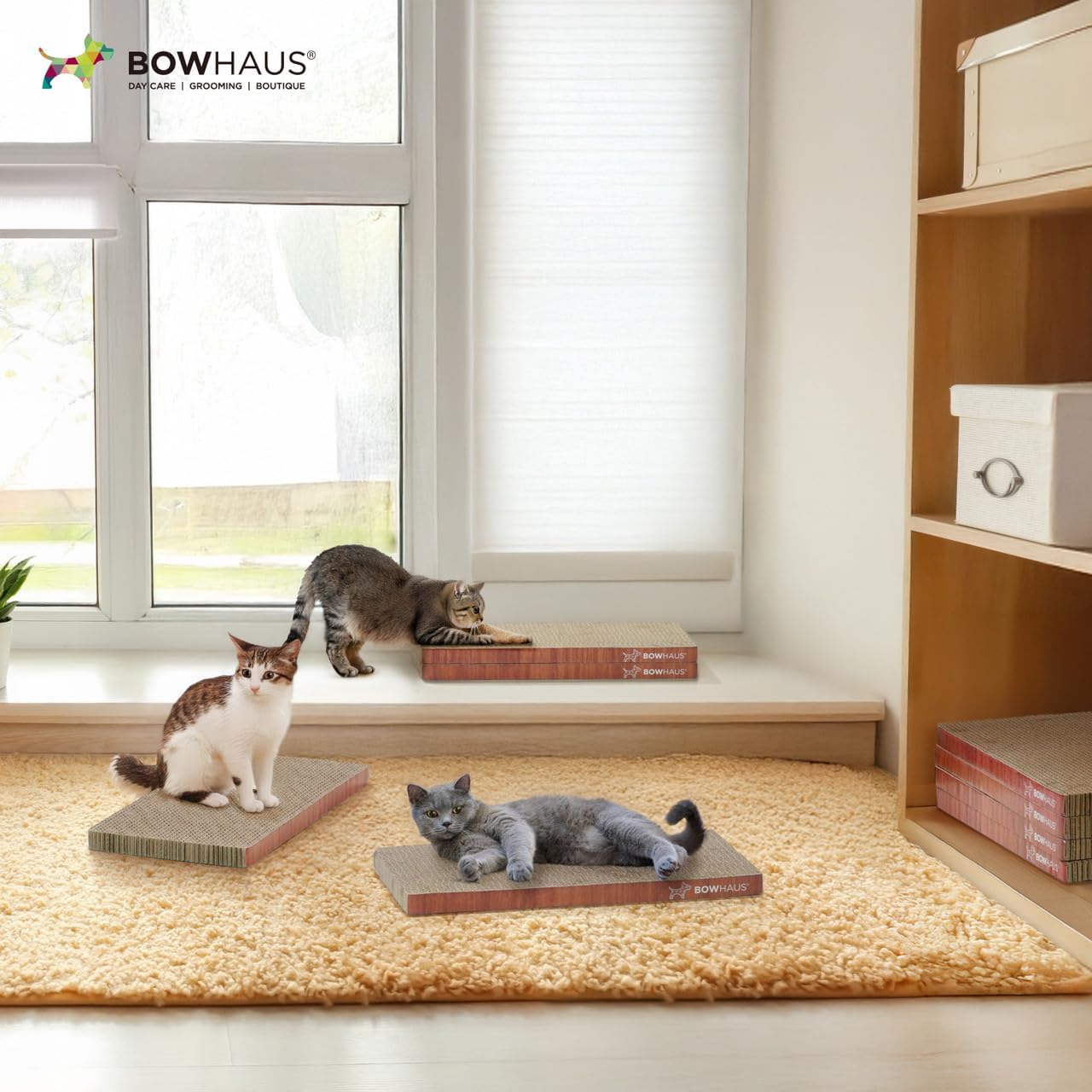 CAPHAUS Reversible Cat Scratcher Lounger – Large 5-Layer High-Density Cardboard Scratching Pad & Board, 16.9 x 8.5 Inch, Protects Furniture, Fits Multi-Cat Households & Large Paw Breeds