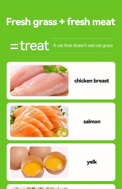 Freeze-Dried Cat Grass Hairball Control Tablets – Natural Mint Molar Sticks & Granules, Chicken Flavor Cat Snacks for Dental Health & Hair Removal