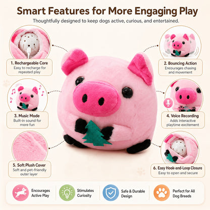 USB Rechargeable Bouncing Dog Toy – Motion Sensor Electronic Ball with Pig Sound & Voice Recording, Washable Interactive Fetch Toy for Small Dogs & Puppies