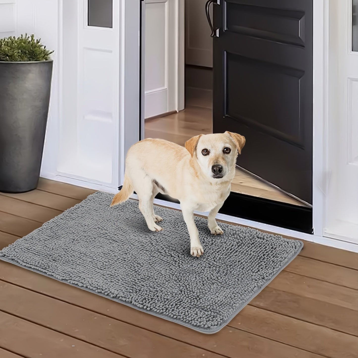 Dog Door Mat for Muddy Paws 2-Pack – Absorbent Non-Slip Washable Microfiber Mud Mat, Quick Dry Entry Indoor Floor Mat for Dogs, Machine Washable, Available in 24x17 & 32x20 inch, 3 Colors