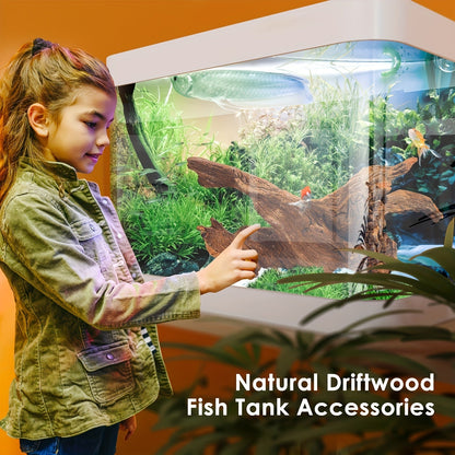 Natural Driftwood for Aquarium Decor & Reptile Terrarium – 2 Pieces 9 to 14 Inches Real Wood Branches for Fish Tank, Bearded Dragon, Lizard, Snake, Tree Frog, Turtle & Shrimp Habitat