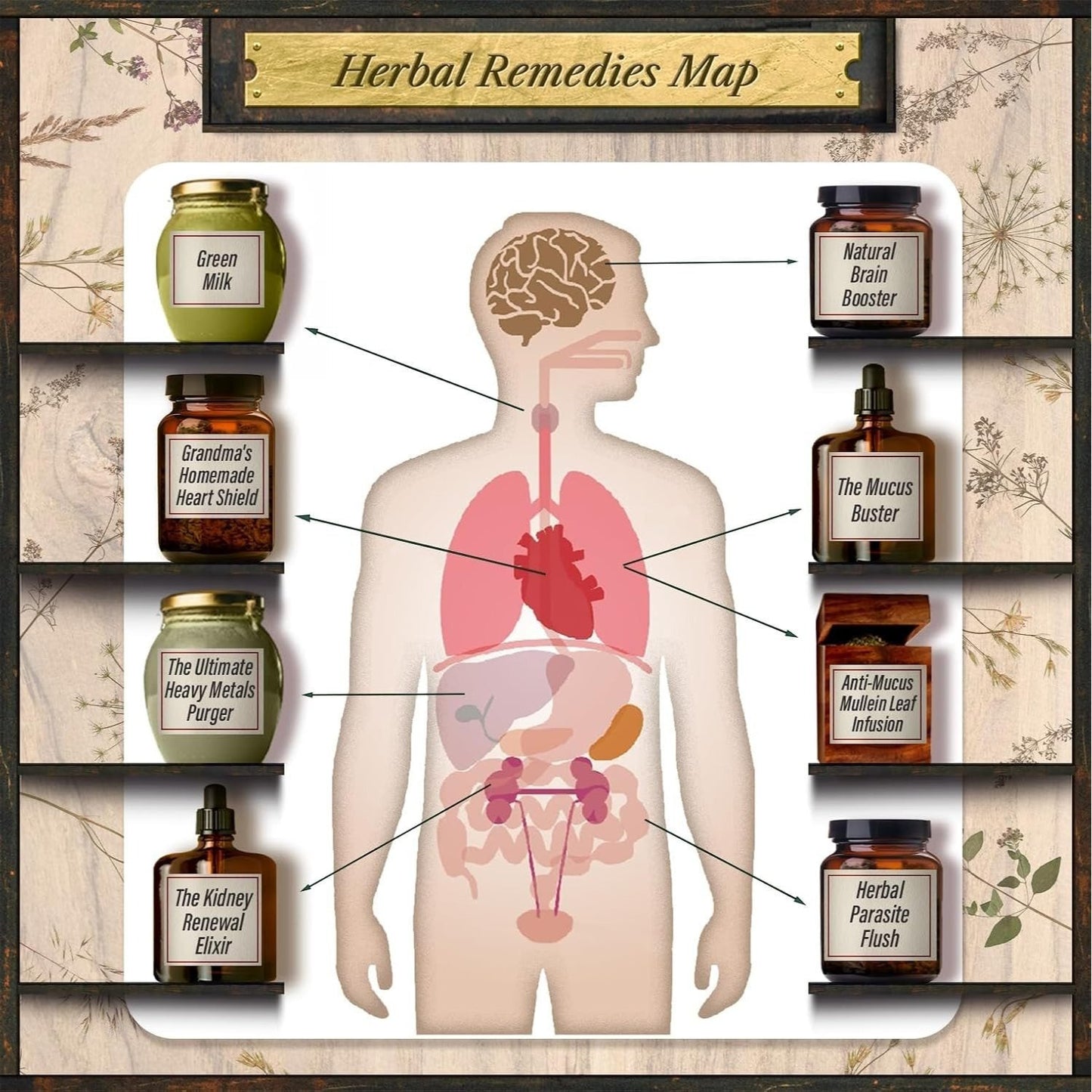 The Forgotten Home Apothecary - 250 Powerful Natural Remedies at Your Fingertips by Dr. Nicole Apelian, 288 Full-Color Pages with Step-by-Step Instructions, Photos & Dosages for Herbal Home Healing