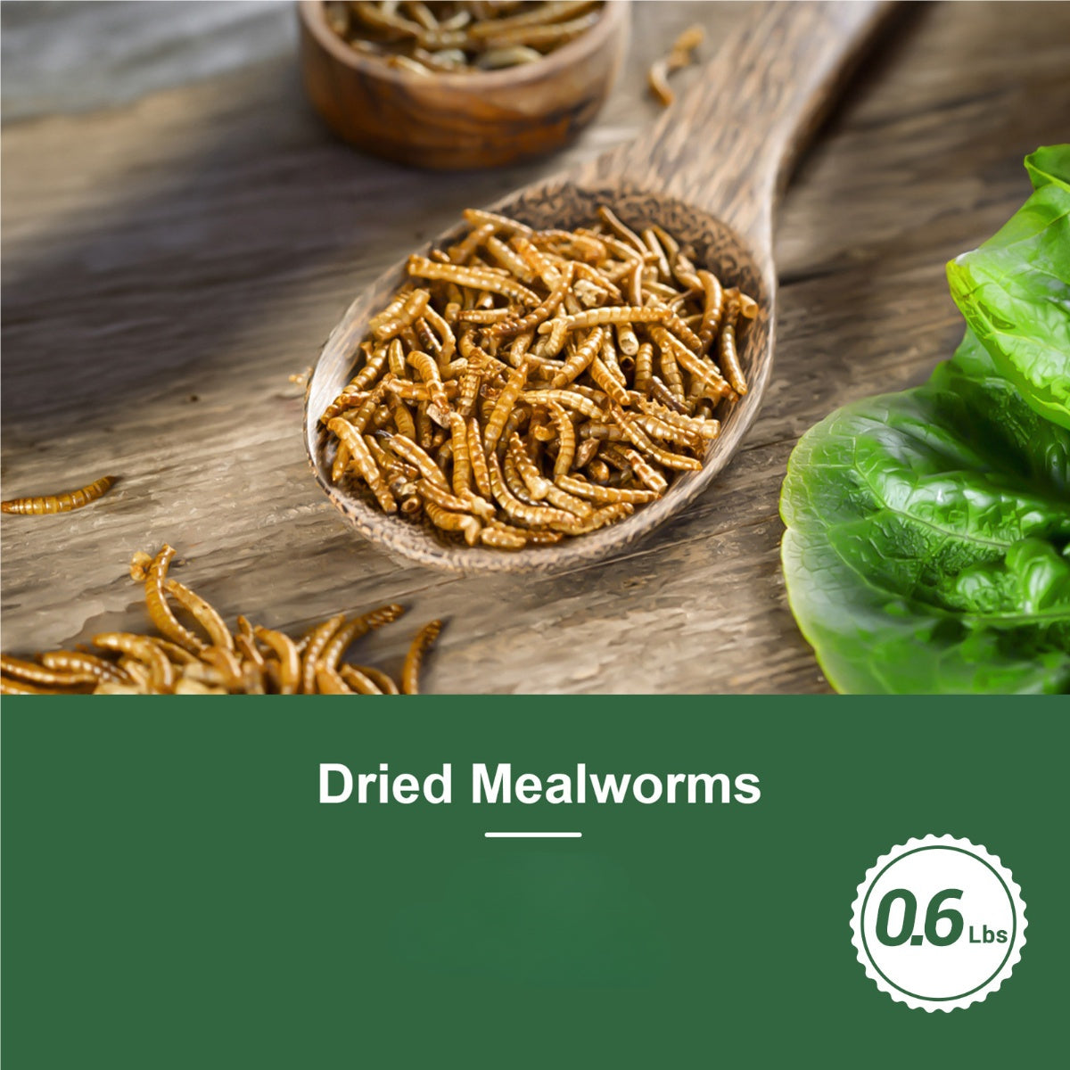 Dried Mealworms for Chickens Wild Birds Ducks – High Protein Natural Pet Food for Hens, Turtles, Fish, Lizards & Hamsters, Non-GMO Dried Insect Animal Feed, Multiple Sizes 0.6–40 LBS