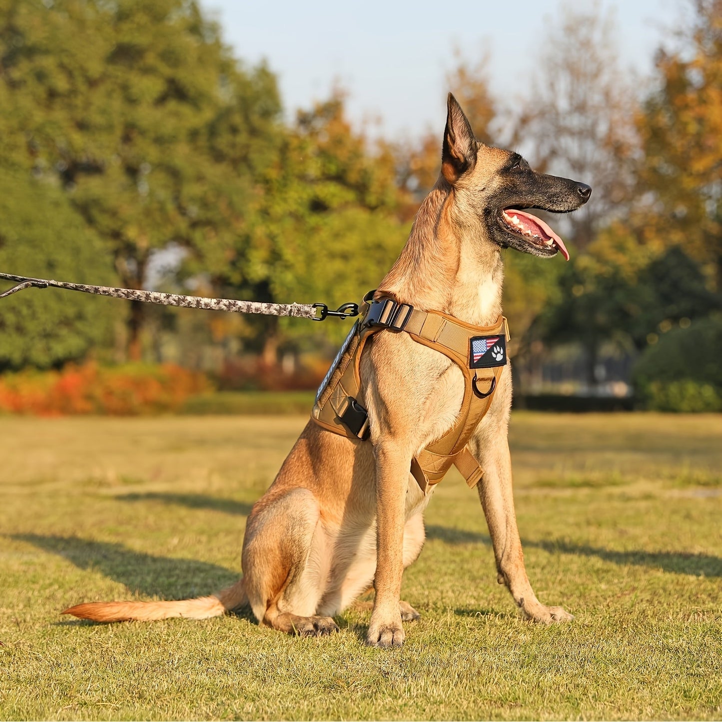 Tactical Dog Chest Harness – Military-Style No-Pull Pet Vest with Control Handle, Adjustable Secure Fit for Active Dogs, Solid Pattern, Sizes S to XL, Ideal for Training Hiking Walking