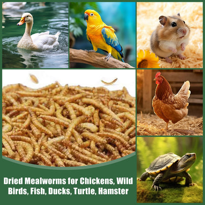 Dried Mealworms for Chickens Wild Birds Ducks – High Protein Natural Pet Food for Hens, Turtles, Fish, Lizards & Hamsters, Non-GMO Dried Insect Animal Feed, Multiple Sizes 0.6–40 LBS