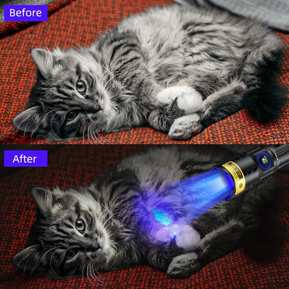 UV Blacklight Flashlight 395nm Portable Ultraviolet Light for Counterfeit Detection Pet Urine Stain Scorpion Hunting Ringworm, Multi-Pack 4/6/8/12pcs, AAA Battery Powered