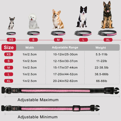 LED Dog Collar USB Rechargeable Soft Mesh – Adjustable Light Up Safety Collar for Small Medium Large Dogs, 5 Colors Blue Green Pink Red Yellow, Sizes XS to XL for Night Walking