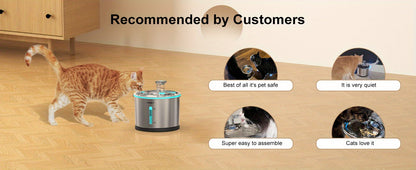 NPET WF210 Stainless Steel Cat Water Fountain 50oz – Ultra Quiet Automatic Pet Water Dispenser with LED Light, Visible Water Window & Dishwasher Safe 304 Steel, Optional Filter Bundles for Cats Dogs