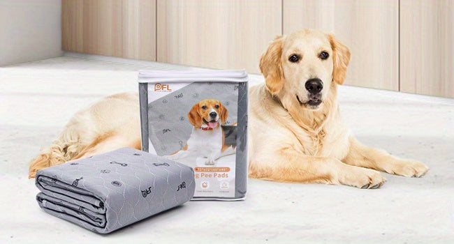 Washable Reusable Dog Pee Pads with Bone Print – Non-Slip Leakproof Absorbent Puppy Training Pads, Machine Washable Whelping Pads for Couch Crate Playpen Potty Training, Multiple Sizes