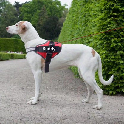 Personalized No-Pull Dog Harness with Custom Name & Phone Number – Heavy Duty Escape Proof Pet Vest for Training & Walking, Sizes XS to XXL, 12 Colors Available