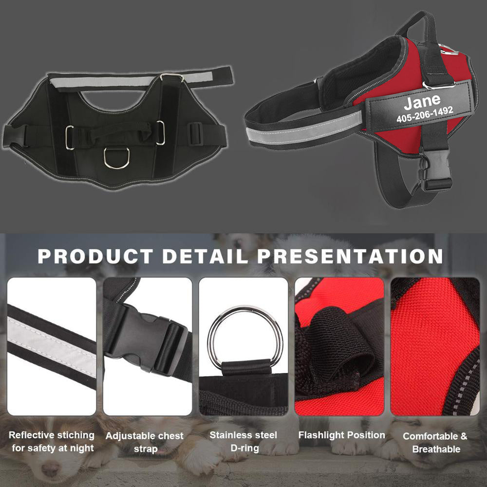 Personalized No-Pull Dog Harness with Custom Name & Phone Number – Heavy Duty Escape Proof Pet Vest for Training & Walking, Sizes XS to XXL, 12 Colors Available