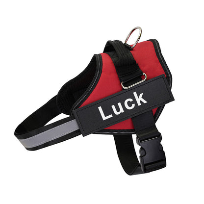 Personalized No-Pull Dog Harness with Custom Name & Phone Number – Heavy Duty Escape Proof Pet Vest for Training & Walking, Sizes XS to XXL, 12 Colors Available