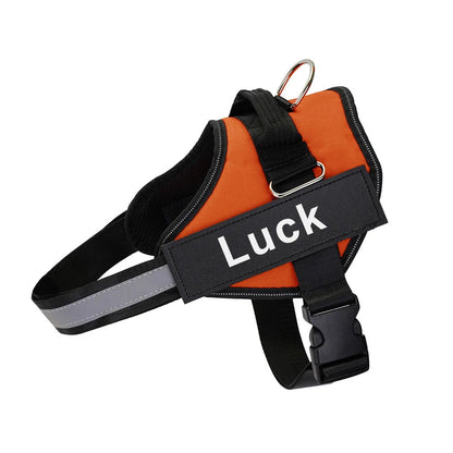 Personalized No-Pull Dog Harness with Custom Name & Phone Number – Heavy Duty Escape Proof Pet Vest for Training & Walking, Sizes XS to XXL, 12 Colors Available