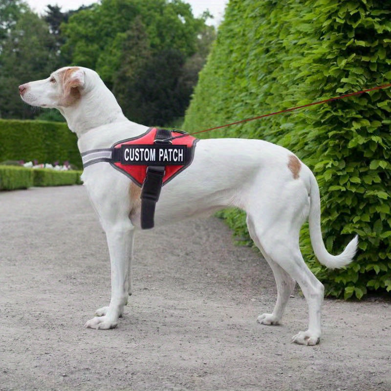 Personalized No-Pull Dog Harness with Custom Name & Phone Number – Heavy Duty Escape Proof Pet Vest for Training & Walking, Sizes XS to XXL, 12 Colors Available