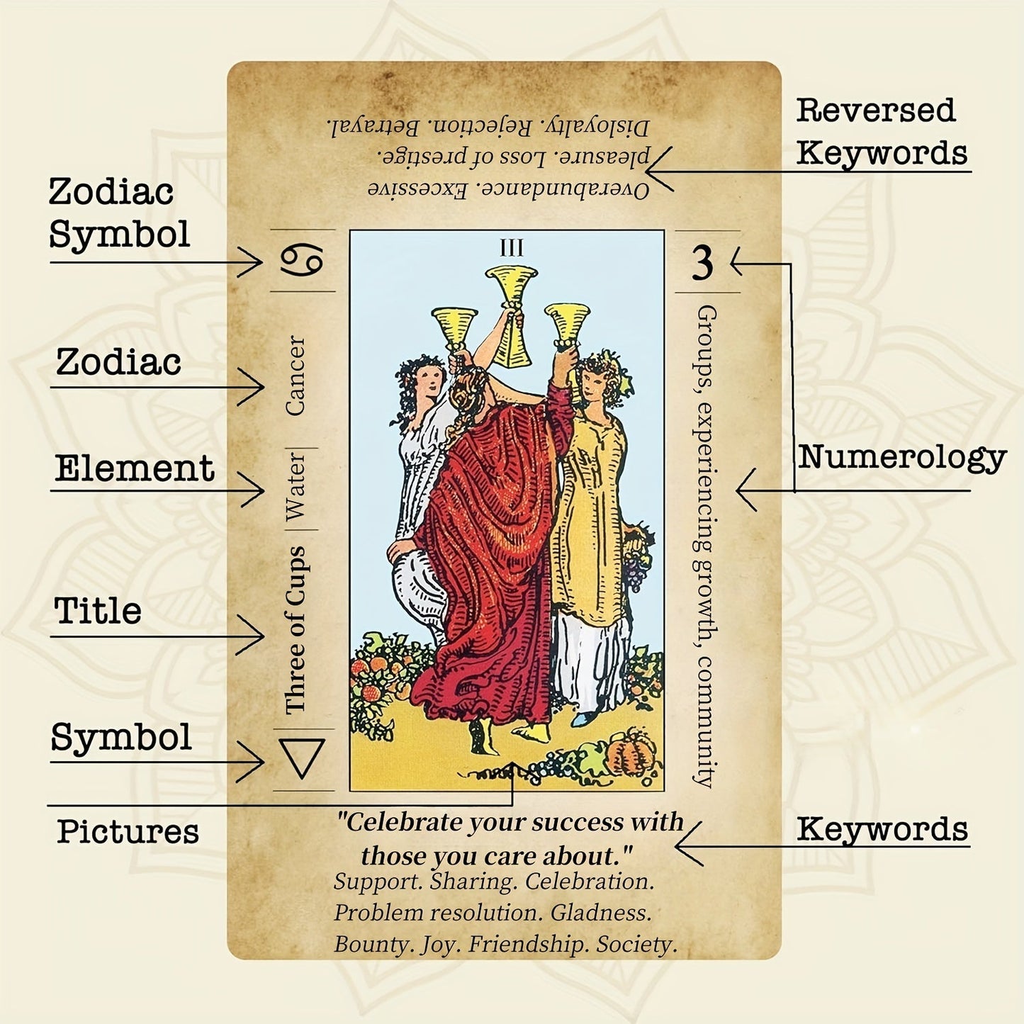 Tarot Cards for Beginners 78 Vintage Card Deck with PDF Guide Booklet for Spiritual Exploration Adult Card Game Gift for Friends Family Halloween Christmas Thanksgiving Party