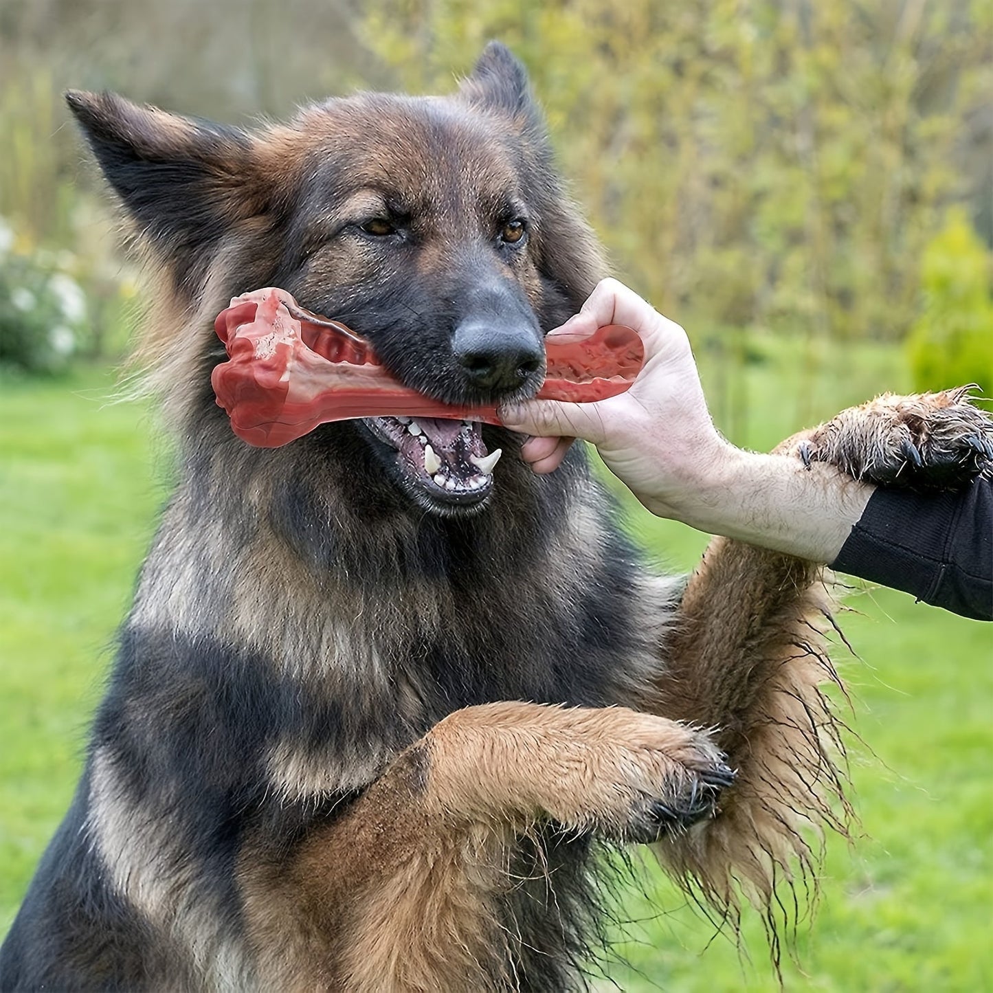 Indestructible Dog Chew Toy for Aggressive Chewers, Durable Natural Rubber Bone Chew Toy for Teeth Cleaning & Interactive Play, Non-Toxic Dog Bone for Small, Medium & Large Breeds – L Size 5.91 Inch