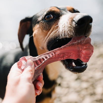 Indestructible Dog Chew Toy for Aggressive Chewers, Durable Natural Rubber Bone Chew Toy for Teeth Cleaning & Interactive Play, Non-Toxic Dog Bone for Small, Medium & Large Breeds – L Size 5.91 Inch