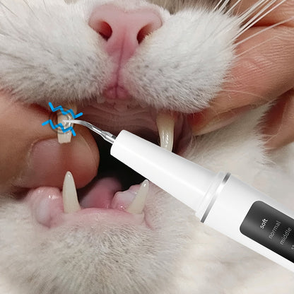 Electric Pet Teeth Cleaning Kit for Cats and Dogs USB Rechargeable Tartar Stain Remover with 4 Cleaning Heads 5 Modes - Dog Cat Dental Care Tool