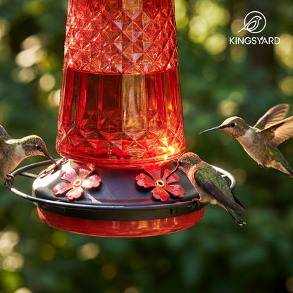 Glass Hummingbird Feeder for Outdoors Hanging – 24 Oz Nectar Feeder with 6 Feeding Ports, Ant Moat & Leak-Proof Design, 1 or 2 Pack, Red, Blue & Purple, Garden Patio Gift for Bird Lovers