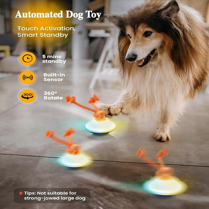 Automatic Moving Rolling Dog Ball Toy with Rope Motion Activated Voice Recording USB Rechargeable Interactive Stimulation Toy for Small Medium Dogs Boredom Relief Gray White