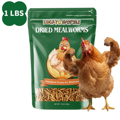 Dried Mealworms for Chickens Wild Birds Ducks – High Protein Natural Pet Food for Hens, Turtles, Fish, Lizards & Hamsters, Non-GMO Dried Insect Animal Feed, Multiple Sizes 0.6–40 LBS