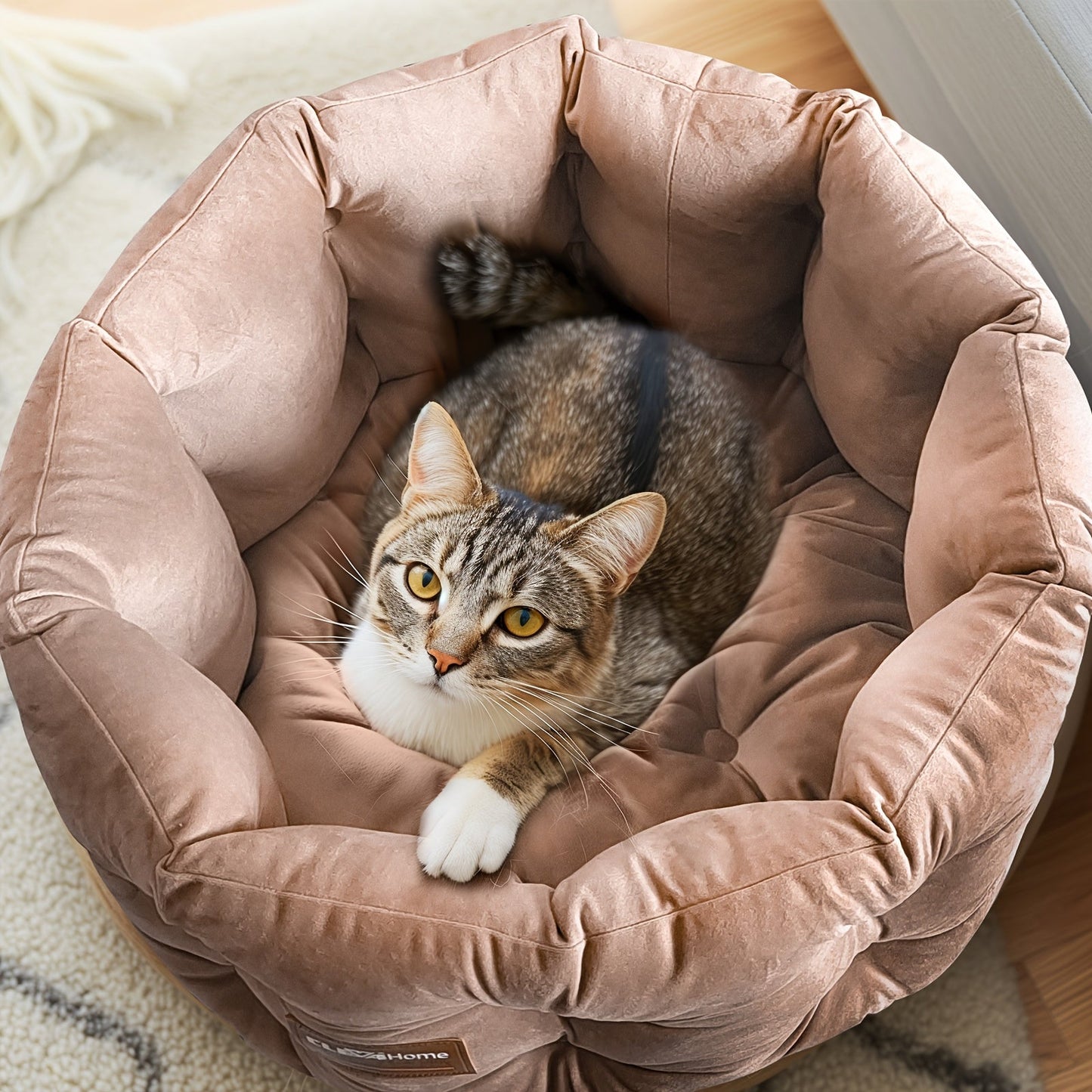 Round Velvet Cat Bed with Extra High Sides – Deep Nest Design, Machine Washable, Non-Slip Bottom, 20"x20"x8", for Indoor Cats & Small Pets Up to 15 lbs