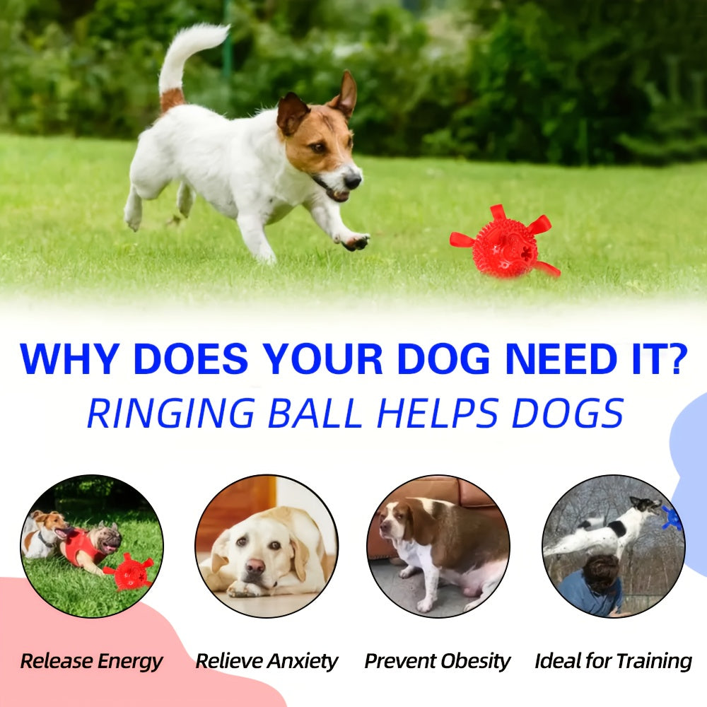 Chew-Resistant Dog Ball Toy for Fetch & Training – Durable Polo Balls for Golden Retrievers, Bulldogs, Shiba Inu, Corgi & Australian Shepherd, Self-Play & Obedience Exercise