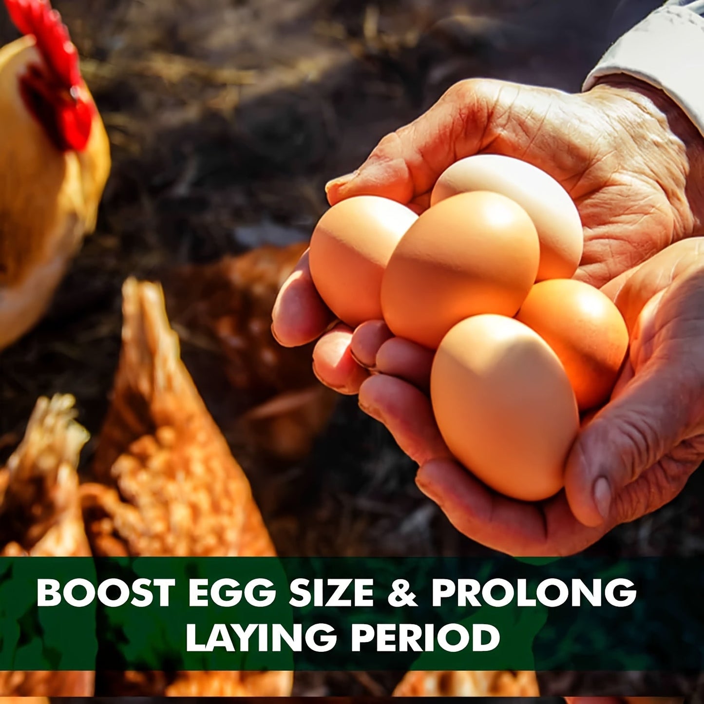 PROILGRUBS Dried Black Soldier Fly Larvae Chicken Treats – Non-GMO High-Protein Egg & Flock Builder, Stronger Eggshells & Feather Growth for Layers Broilers Chicks, 5 to 33 LB Bulk Bags