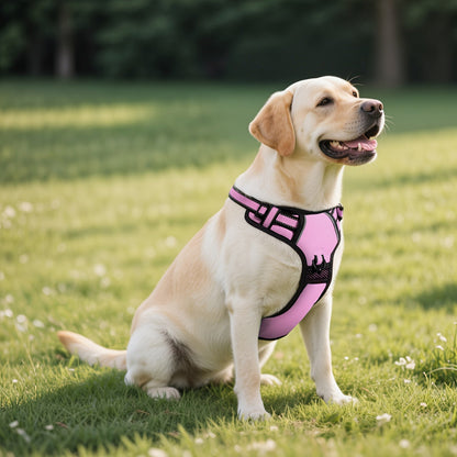 No Pull Dog Harness Set with Leash Retractable Seatbelt & Collar – Fully Reflective Adjustable Breathable Vest Harness with Handle for Small & Large Dogs XS–XL