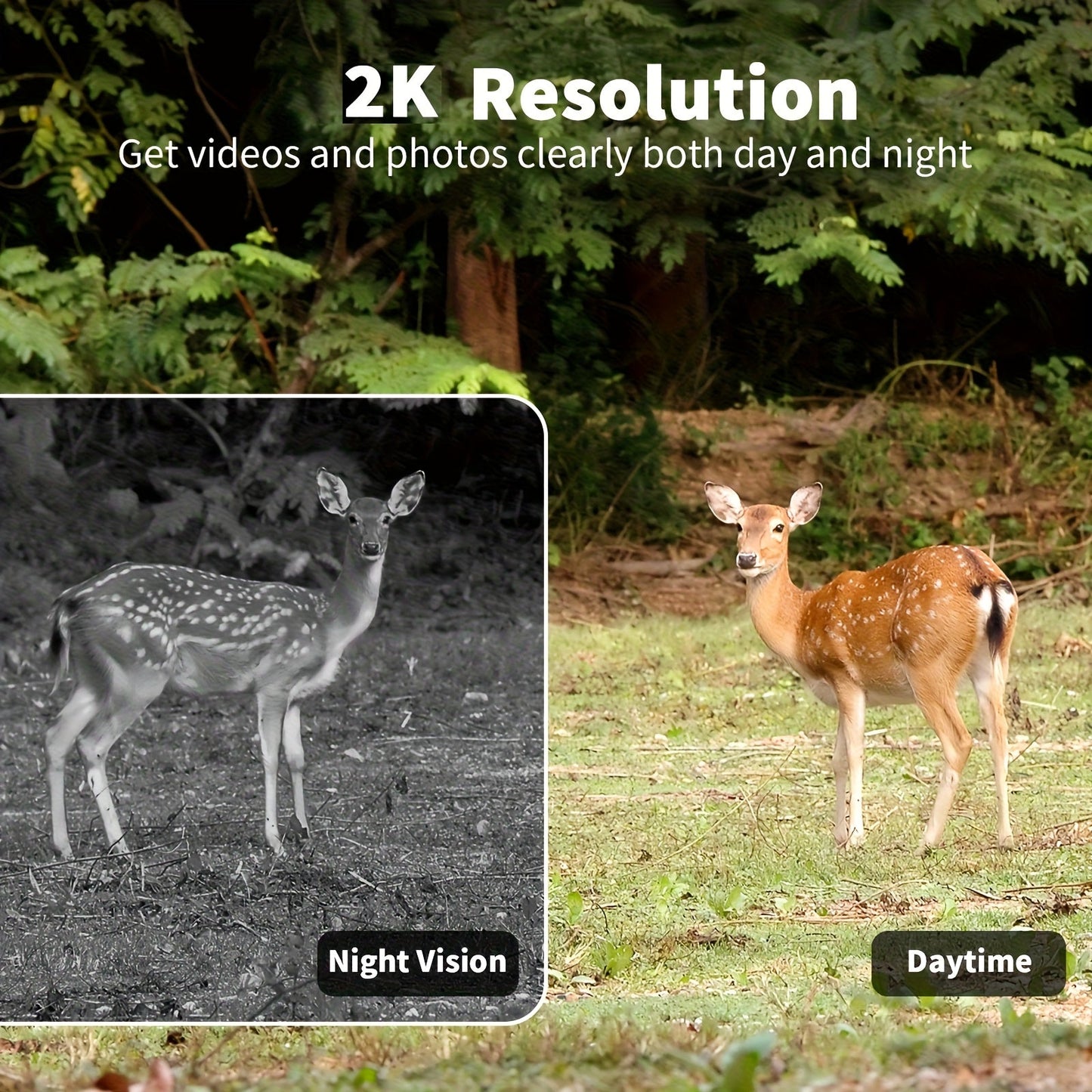 4G Trail Camera No WiFi Required 2K 1440P Solar Powered – Built-in SIM Card, 75ft Night Vision, 0.2s Trigger, 7800mAh Battery, Wireless Outdoor Hunting & Security Camera for Remote Areas