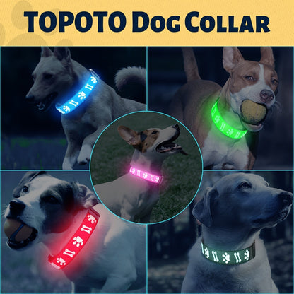 LED Dog Collar with 15 Light Modes USB Rechargeable – Glowing Safety Collar 3D Flash Patterns Night Walk Visibility XS S M L 5 Colors Blue Pink Red Green Black for Small Medium Large Dogs & Puppies