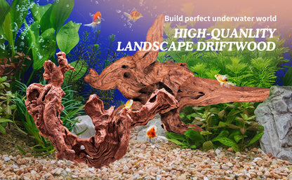 Natural Driftwood for Aquarium Decor & Reptile Terrarium – 2 Pieces 9 to 14 Inches Real Wood Branches for Fish Tank, Bearded Dragon, Lizard, Snake, Tree Frog, Turtle & Shrimp Habitat