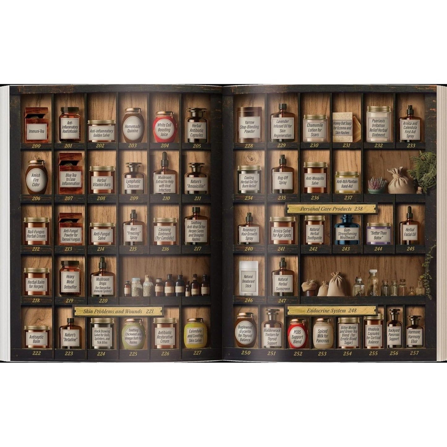 The Forgotten Home Apothecary - 250 Powerful Natural Remedies at Your Fingertips by Dr. Nicole Apelian, 288 Full-Color Pages with Step-by-Step Instructions, Photos & Dosages for Herbal Home Healing