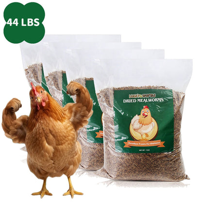 Dried Mealworms for Chickens Wild Birds Ducks – High Protein Natural Pet Food for Hens, Turtles, Fish, Lizards & Hamsters, Non-GMO Dried Insect Animal Feed, Multiple Sizes 0.6–40 LBS