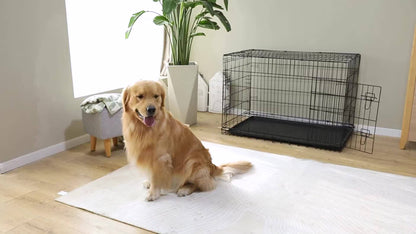 Folding Metal Wire Dog Crate Double Door with Divider Panel Leak-Proof Pan Tray Pet Kennel Indoor Outdoor Travel Small Medium Large XL Dogs 4 Sizes