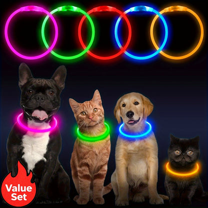 USB Rechargeable LED Dog Collar – Light Up 360° Glow Safety Collar with 3 Modes, Adjustable TPU Cuttable Collar for Small Medium Large Dogs, Night Walking Running & Hunting