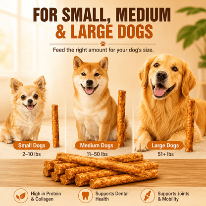 Dog Collagen Chew Sticks Chicken & Duck Flavor High-Protein Natural Dental Treats Durable Training Reward for Medium & Large Dogs – Molar Bully Sticks