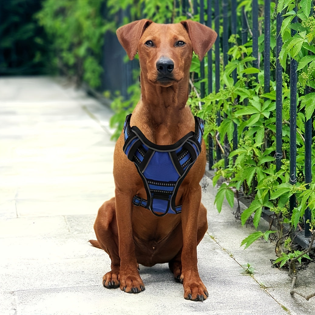 No-Pull Dog Harness & Leash Set 6-in-1 – Reflective No-Choke Oxford Vest with Dual Leash Clips & Easy Control Handle for Small Medium Large Dogs, 5 Colors XS to XL