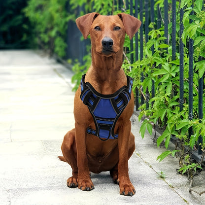 No-Pull Dog Harness & Leash Set 6-in-1 – Reflective No-Choke Oxford Vest with Dual Leash Clips & Easy Control Handle for Small Medium Large Dogs, 5 Colors XS to XL