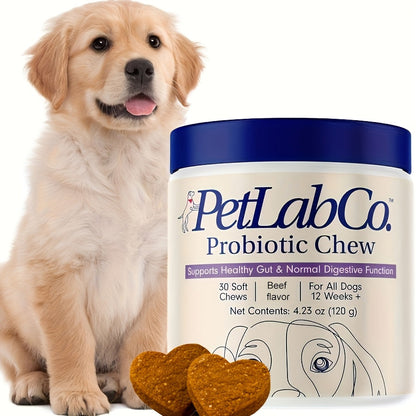 Dog Probiotic Prebiotic Chewable Treats Natural Ingredients Supports Gut Health Digestion Quality of Life - 1 Pack or 3 Pack Best Value